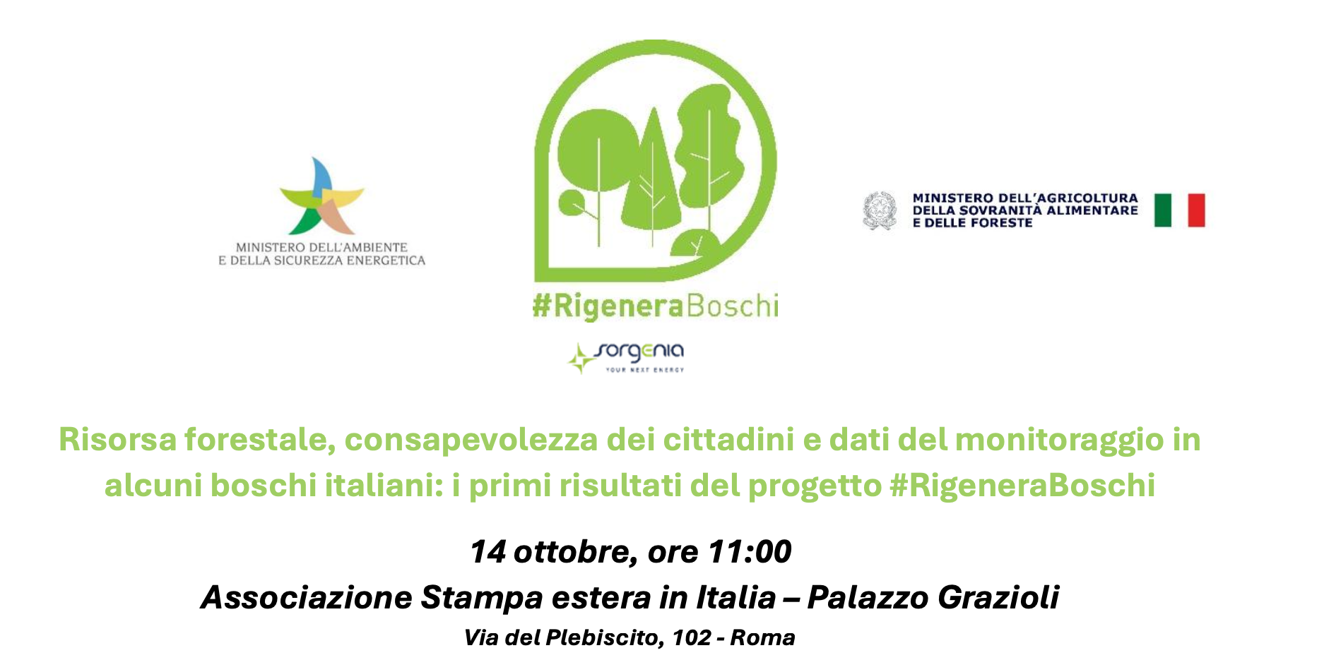 Risorsa forestale, consapevolezza dei cittadini e dati del monitoraggio in alcuni boschi italiani: i primi risultati del progetto #RigeneraBoschi